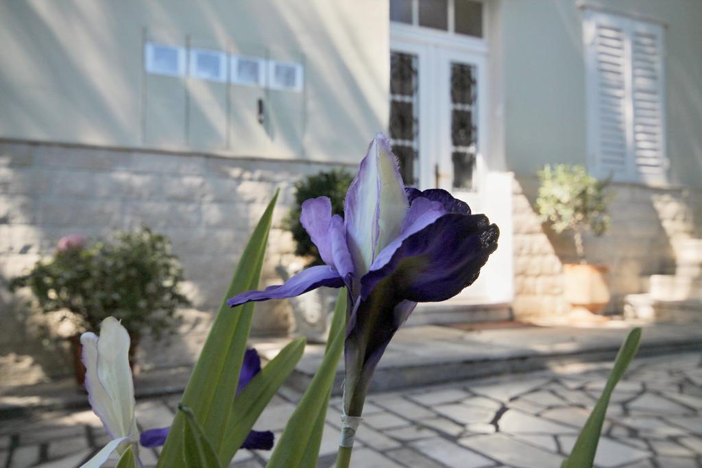 Villa Martinis Split Zimmer foto